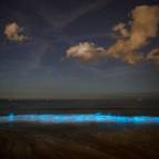 Ellenségem ellensége a barátom