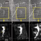 Tejes tenger hullámain