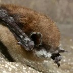 Poros lettél, porrá leszel