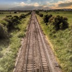 Vasútvonalak mentén és vadetetők közelében is átalakul a növényvilág