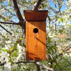 Barkácsolt fészekodúk